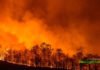 The Australian wildfires are worse than World War three. Australian Wildfires affecting different regions and a huge destruction of wildlife and humanity across Australia.