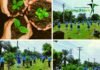 Gujranwala Saplings Set a World Record Gujranwala Saplings Set a World Record