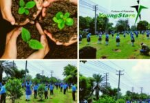 Gujranwala Saplings Set a World Record Gujranwala Saplings Set a World Record